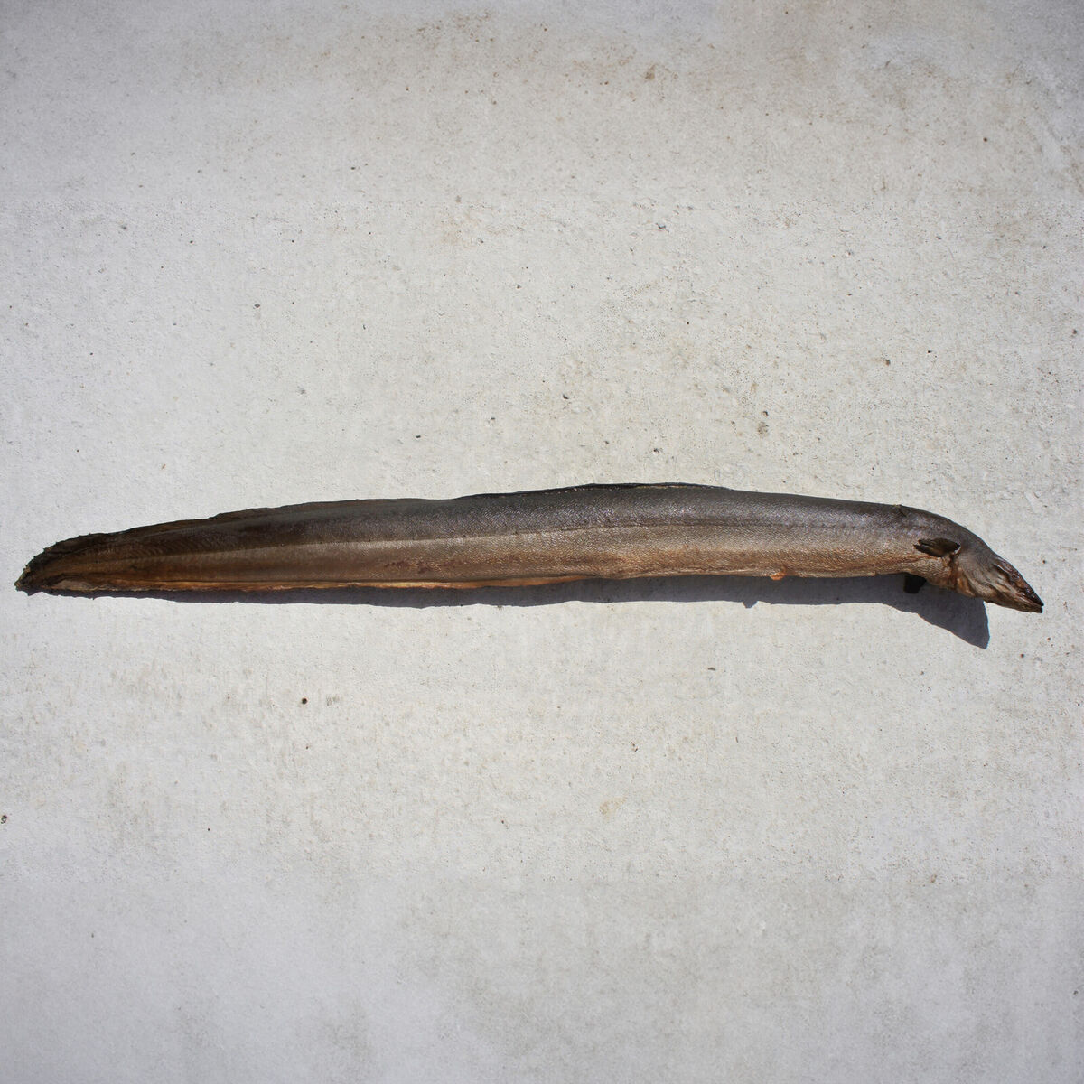 Whole smoked eel