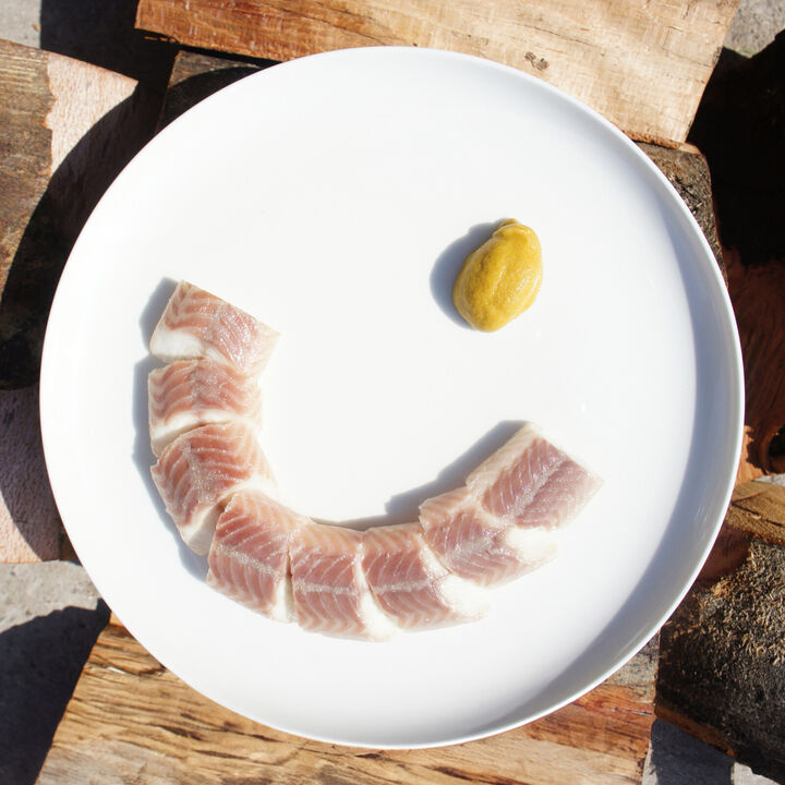 Smoked eel fillets