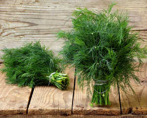 dill dill
