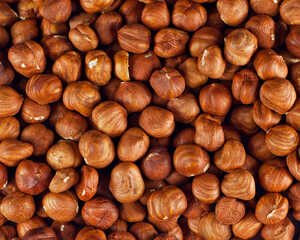 hazelnuts hazelnuts